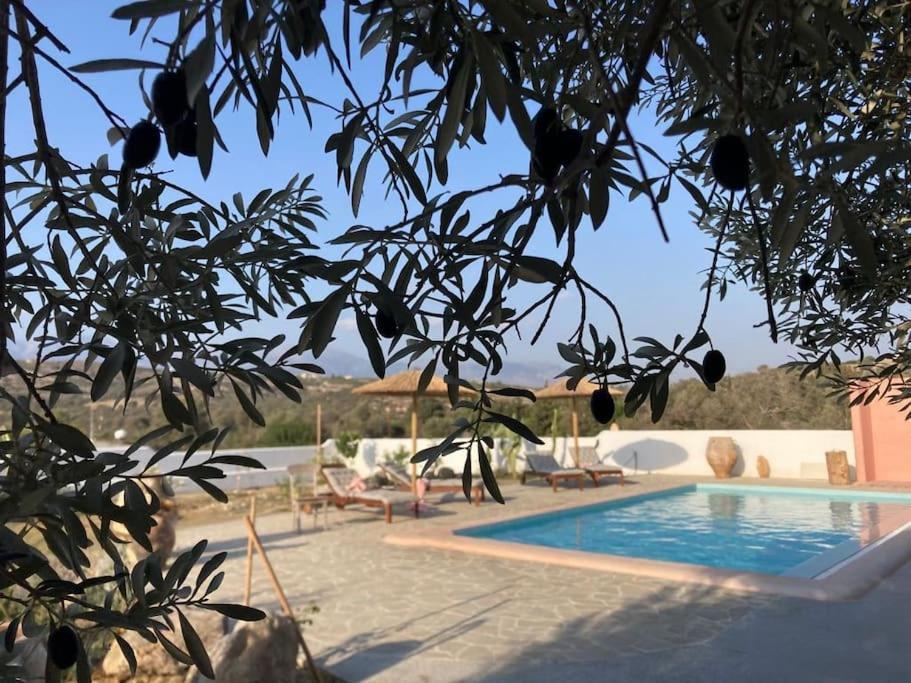 Villa Louloudia Stylish Luxury Villa With Private Pool 피치디아 외부 사진