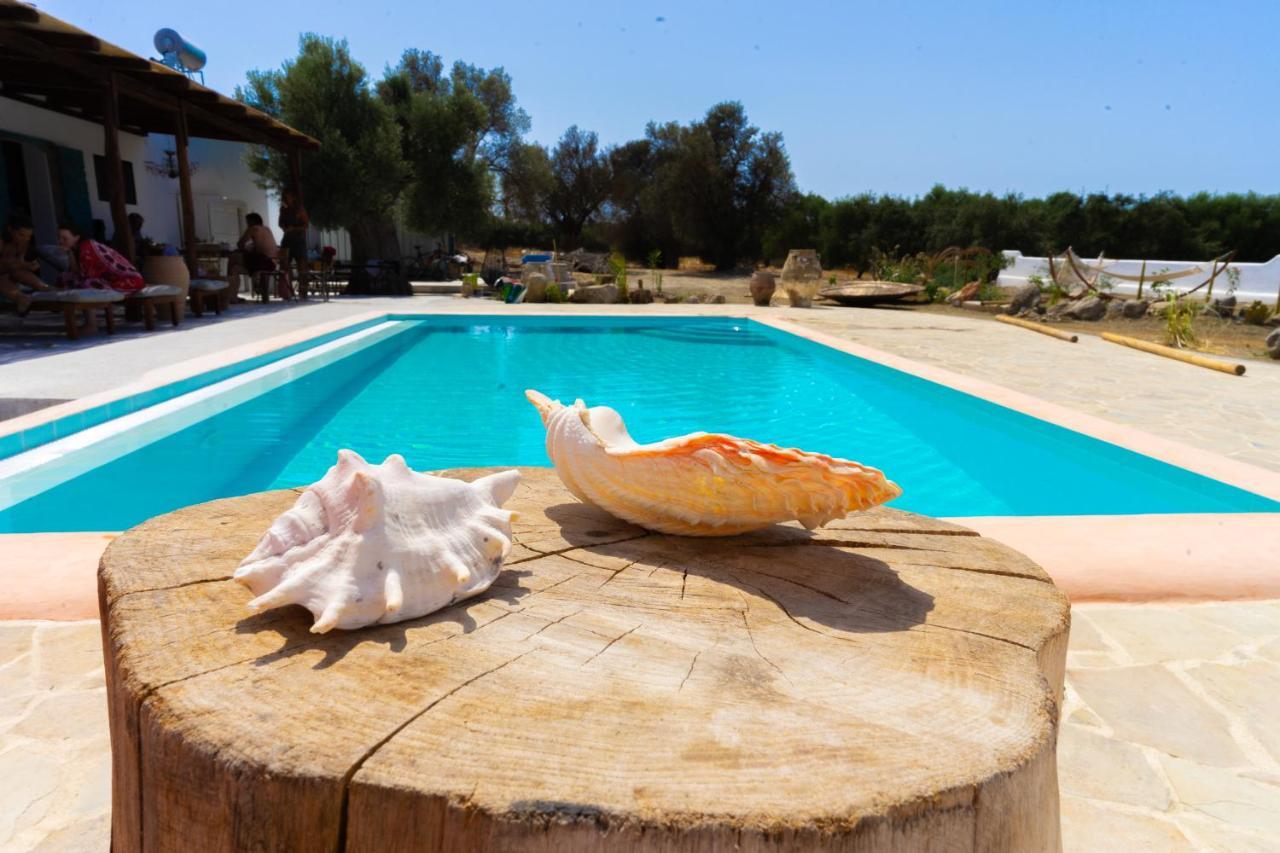 Villa Louloudia Stylish Luxury Villa With Private Pool 피치디아 외부 사진
